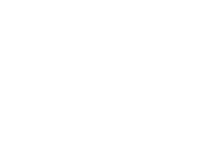 Logotipo de Crypto Chicks Mexico