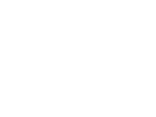 Logotipo de Macroview